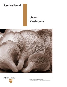 The Real Smell of Environmentalism Oyster Mushroom