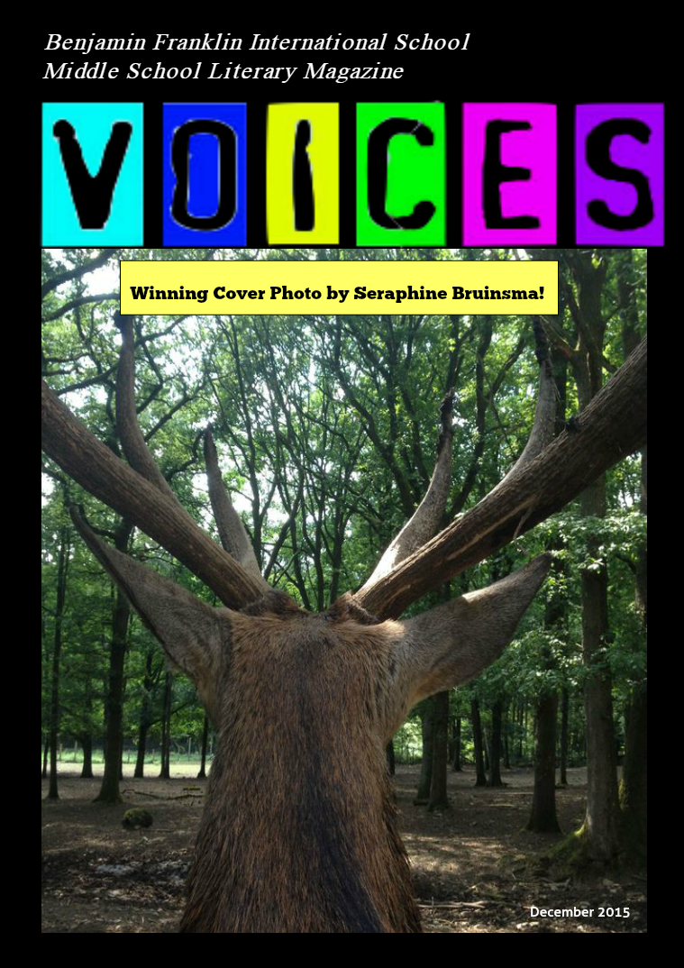 Voices Literary Magazine Edition 1 Volume 4