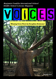 Voices Literary Magazine Edition 1