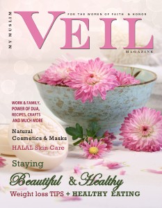 Veil Issue 1 Issue 2