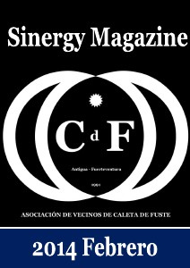 Sinergy Magazine Febrero 2014