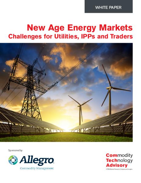 White Papers New Age Energy Markets - Challenges for Utilities,