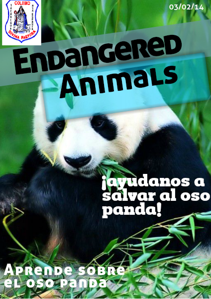 El Oso Panda (03/02/2014)