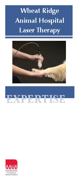 Brochures Wheat Ridge Animal Hospital Laser Therapy