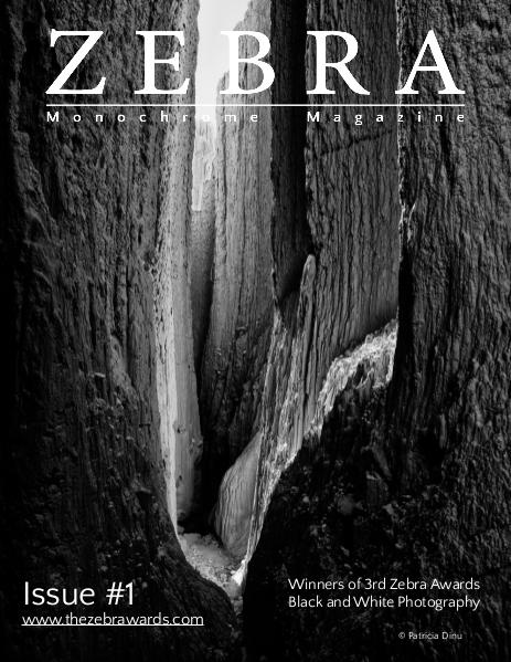 The Zebra Monochrome Magazine Issue #4