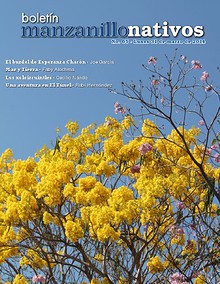 Manzanillo Nativos