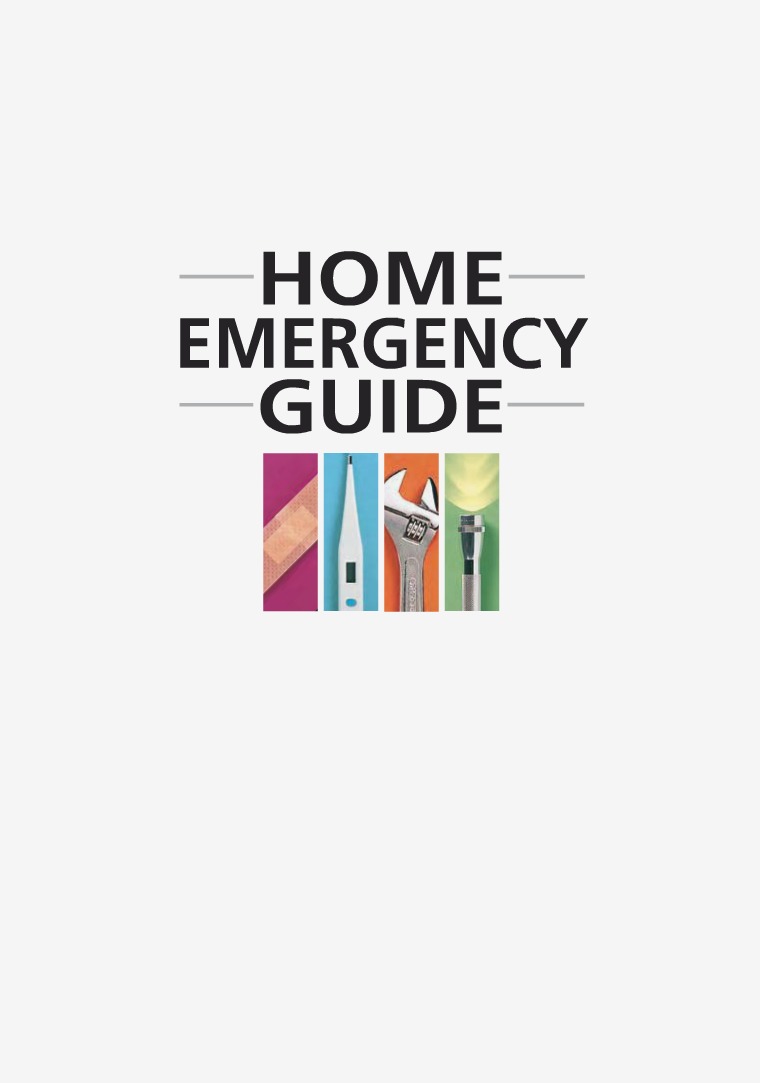 Home Emergency Book Vol 1