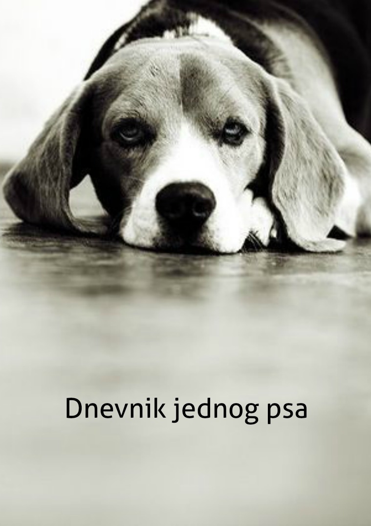 Tužna istina o napuštenim psima Dnevnik jednog psa