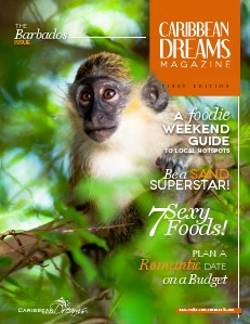 Caribbean Dreams Magazine Volume 1