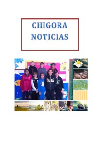 CHIGORA NOTICIAS Marzo 2014