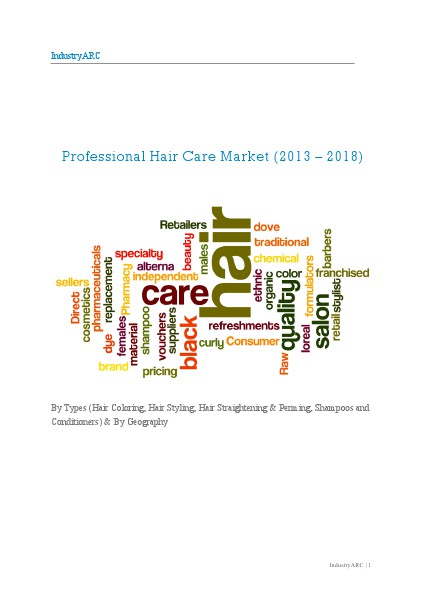 Professional hair care market. 10/21/2013