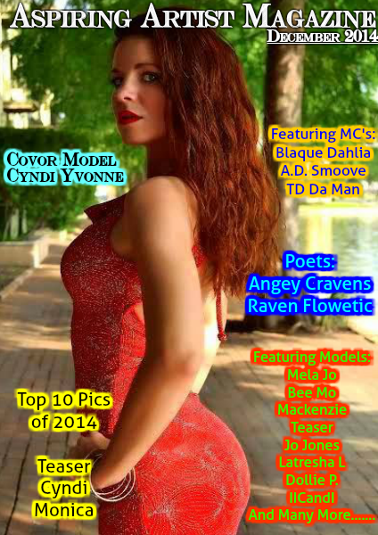 Aspiring Artist Magazine Volume 1 Issue 8 December 2014