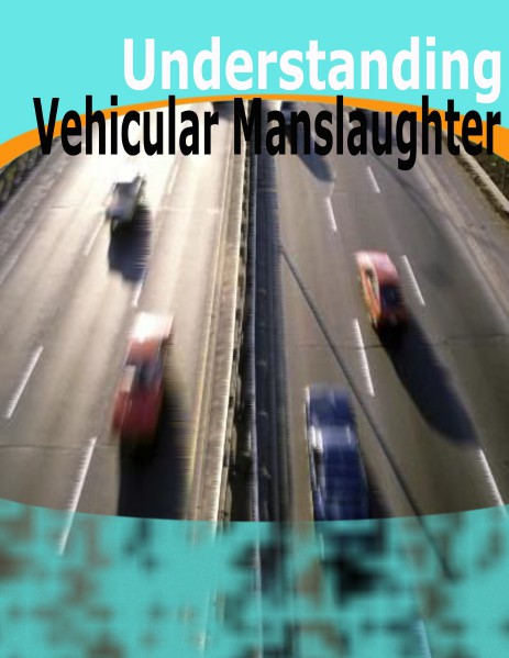 Understanding Vehicular Manslaughter 1