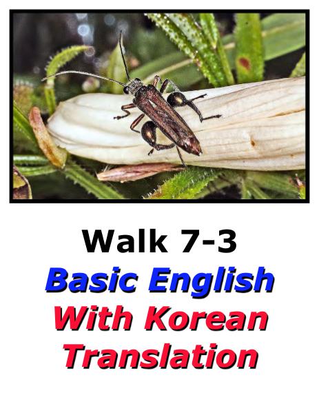 Learn English Here with Korean Translation-Walk 7 #7-3