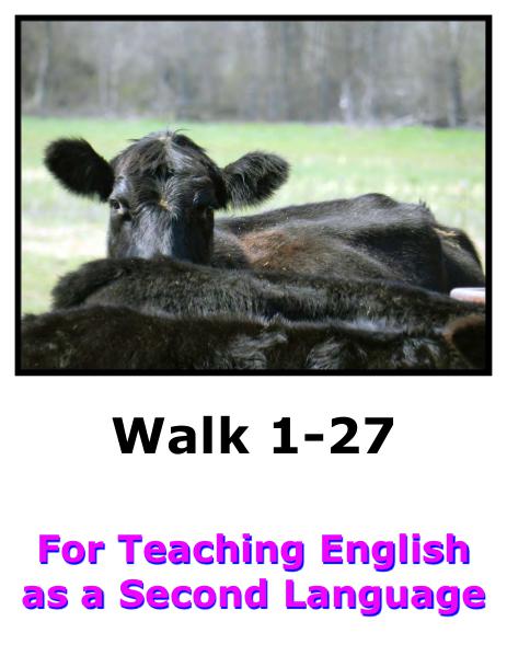 Teach English Here-Walk 1 #1-27