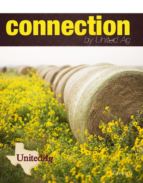 Connection Spring 2015