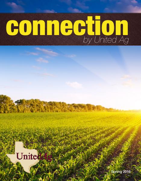 Connection Spring 2016