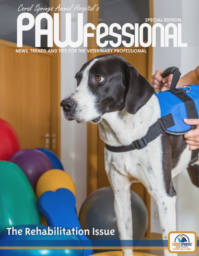 Coral Springs Animal Hospital's Pawfessional PAWfessional Rehab Issue 2017