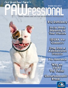 Coral Springs Animal Hospital's Pawfessional Winter 2013