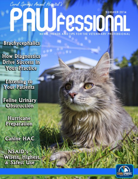 Coral Springs Animal Hospital's Pawfessional Summer 2014