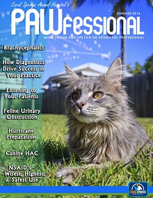 Coral Springs Animal Hospital's Pawfessional