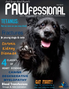 Pawfessional - Fall 2012 Issue 1