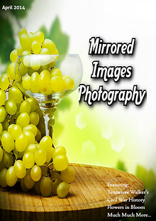 Mirrored Images Photogrpahy