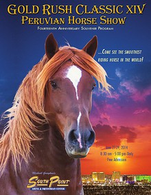 Gold Rush Classic Peruvian Horse Show - 2013