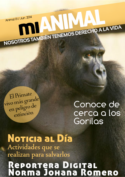 Reportaje sobre Gorilas Jun 2014