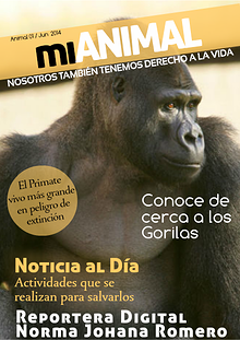 Reportaje sobre Gorilas