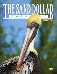 The Sand Dollar Magazine