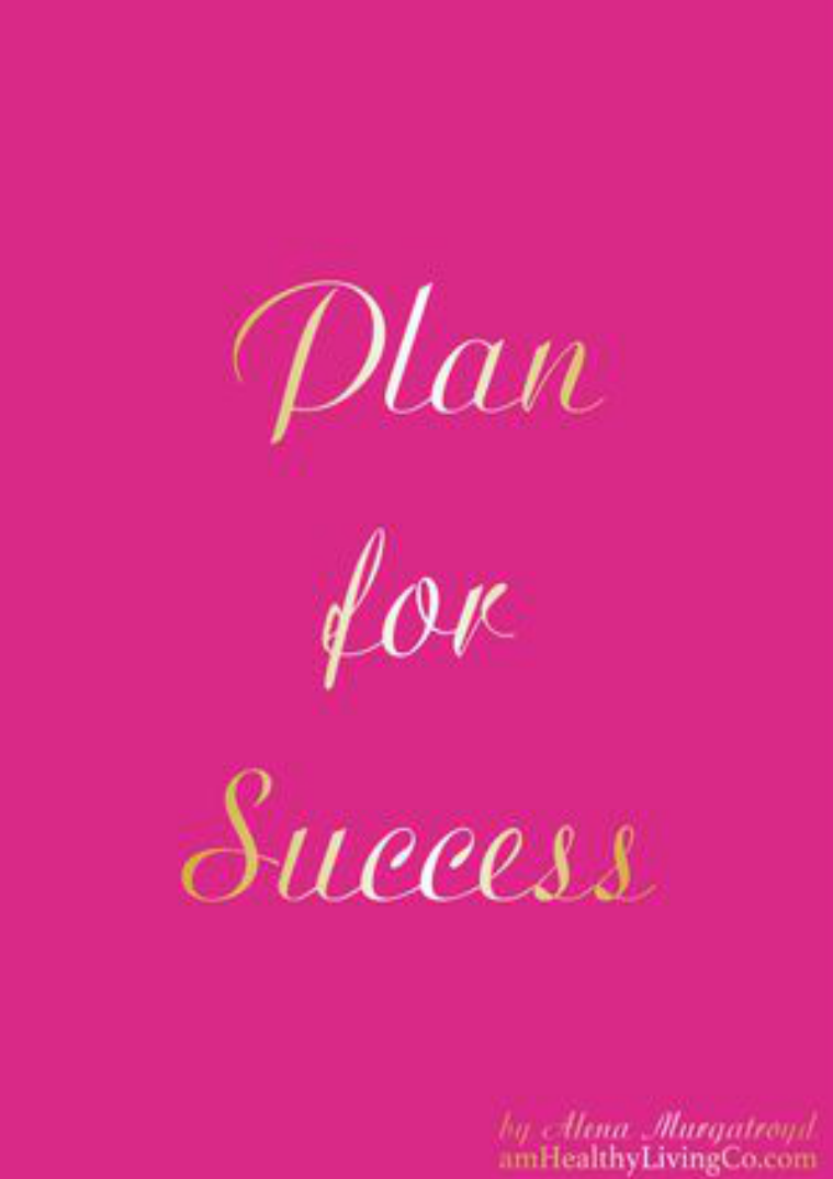 Plan for Success Plan for Success - Raspberry