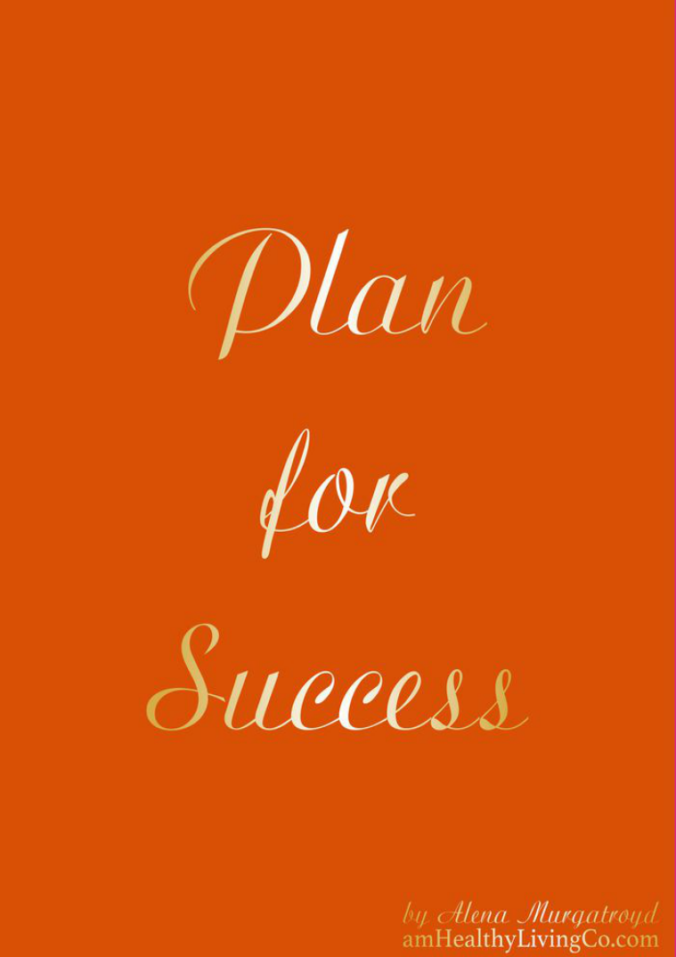 Plan for Success - Spice