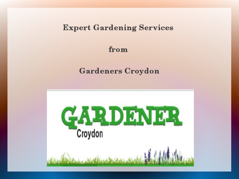 Expert Gardening Services in Croydon 1