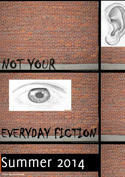 Not Your Everyday Fiction Summer 2014