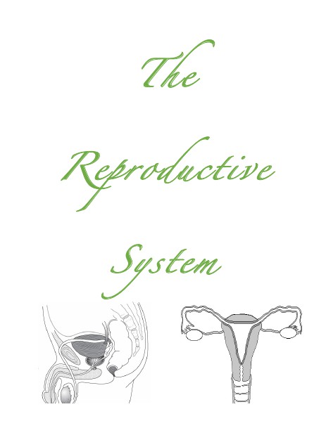 Reproductive Systems Apr. 2014