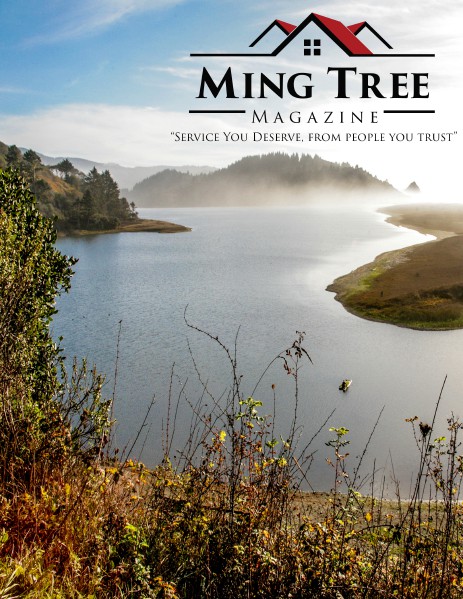 Ming Tree Magazine 1st Edition