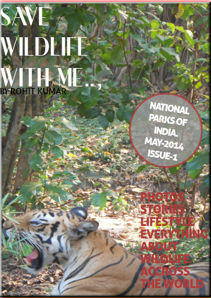 SAVE WILDLIFE WITH ME May 01,2014