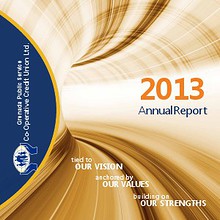 CREDUT UNION REPORT 2013.pdf