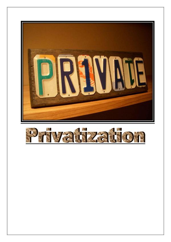 How Privatization Works 1