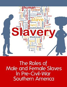 Slavery in Pre-Civil War Southern America