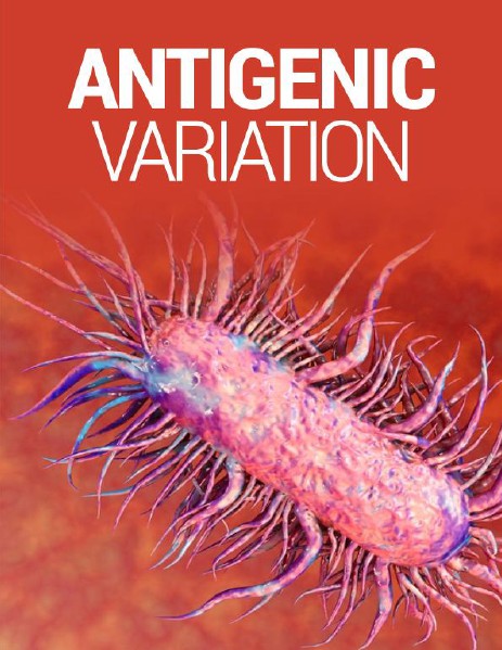 Mechanism of the Antigenic Variation June, 2014