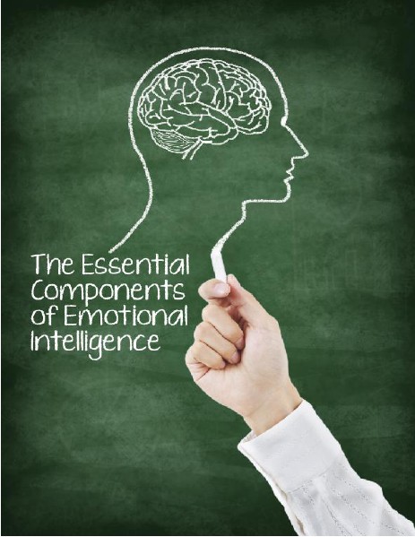 Emotional Intelligence and Its Important Components June, 2014