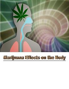 Some Effects of Marijuana On Body