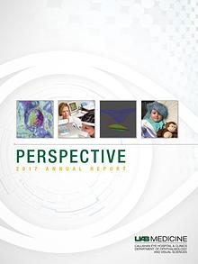 Perspective 2017 Annual Report