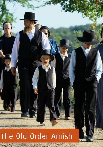 The Old Order Amish April 2014