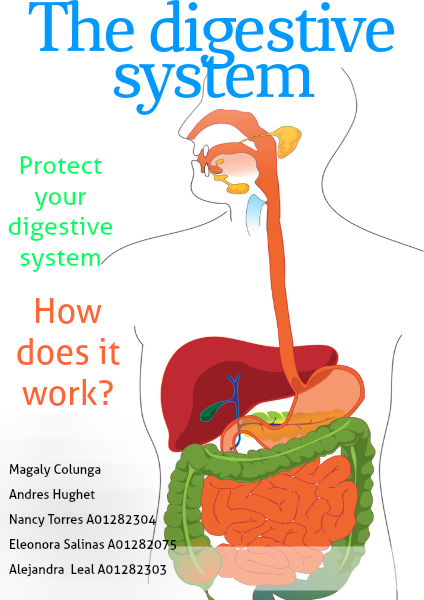 Digestive System Volume 1