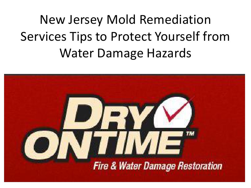 New Jersey Mold Remediation Services: Tips to Protect Yourself from Water Damage Hazards July 2014