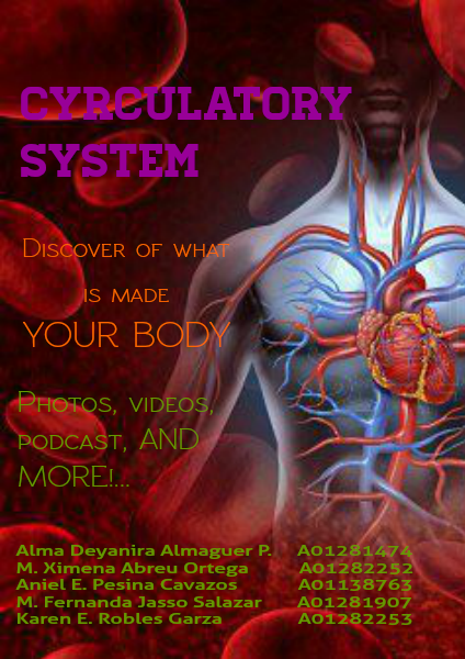 Circulatory System circulatory system (778)