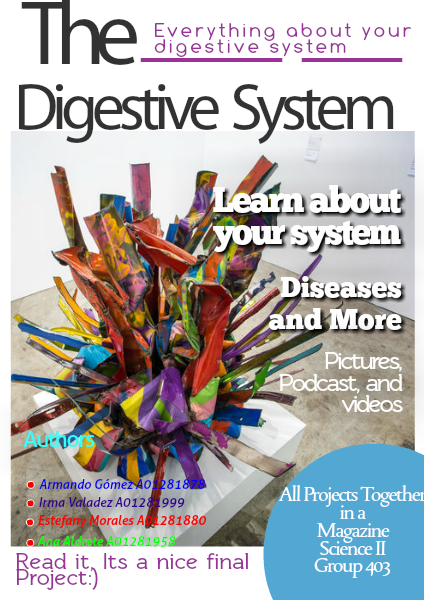 The Digestive system Digestive System